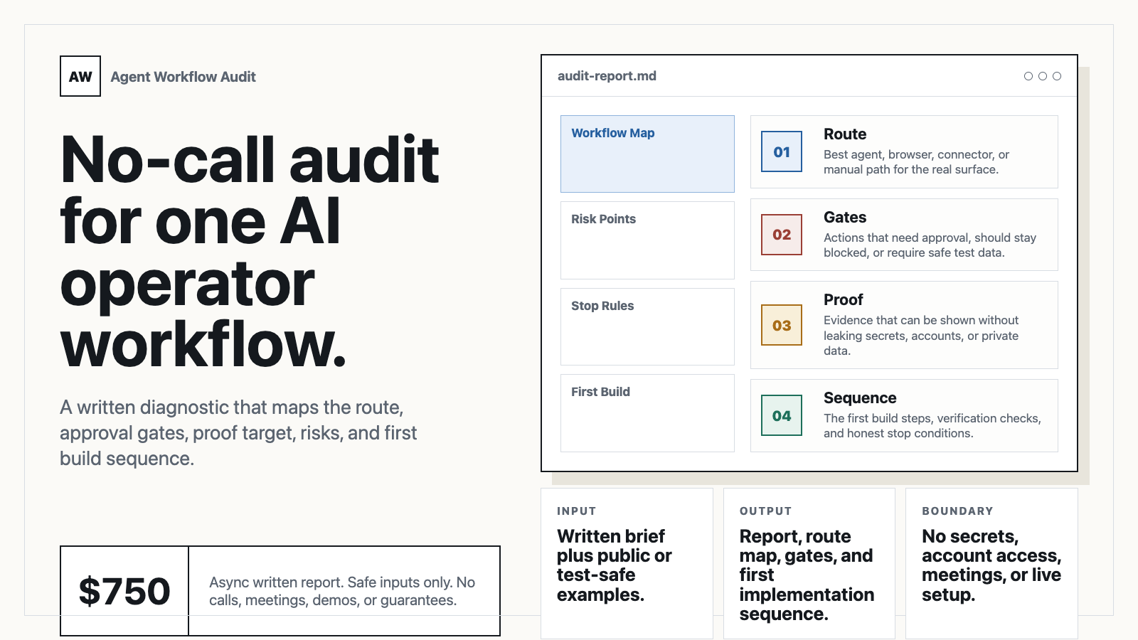 Agent Workflow Audit report cover